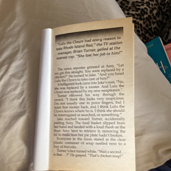 Janet Evanovich Novel - Picture 2 of 2